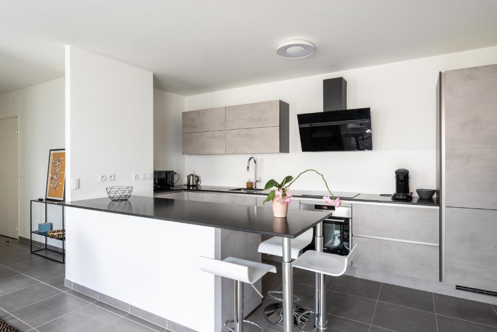 Appartement De Standing Avec Grande Terrasse Villeurbanne Dış mekan fotoğraf